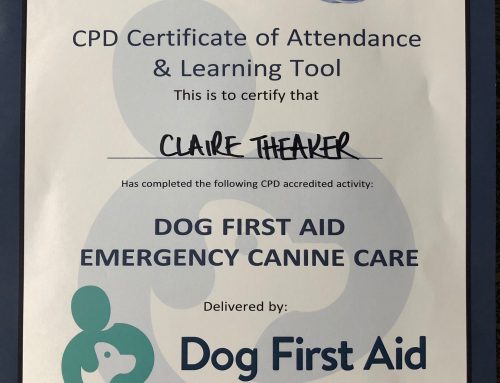 Newly Trained in Dog First Aid